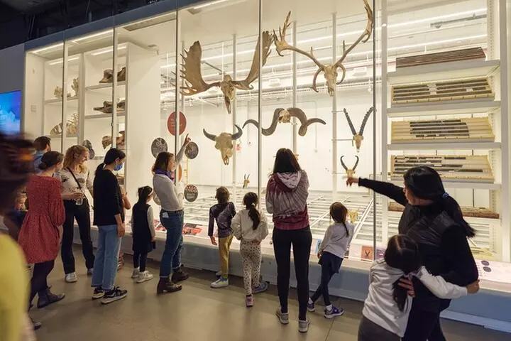 American Museum of Natural History Admission Ticket