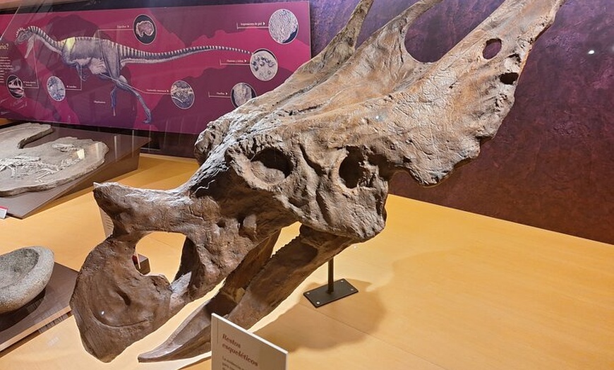 Image 5: Tour por el Museo Jurásico de Asturias desde Oviedo