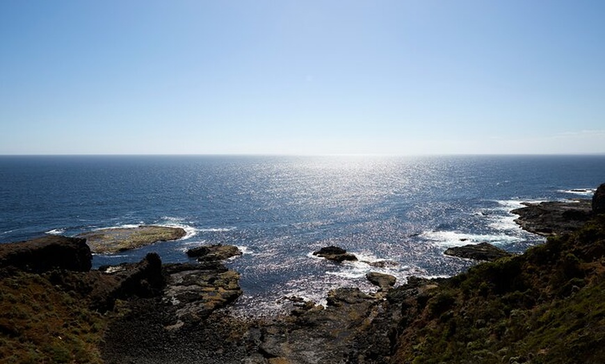 Image 6: Mornington Peninsula Private Day Tour