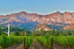 Napa Private 6-Hour Wine Adventure - Second Medium