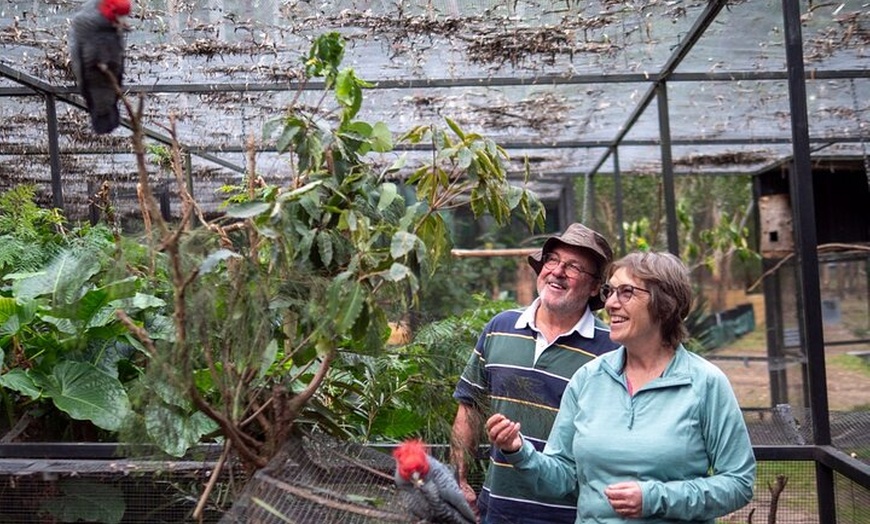Image 3: Tour from Eden to Merimbula Wetlands Wildlife and Coastline
