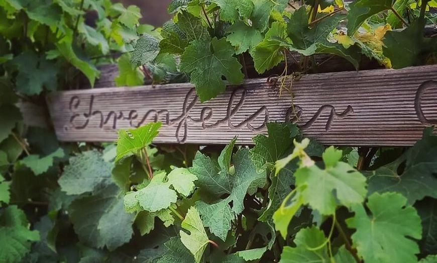 Image 2: Wine Tasting Experience at Every Man and His Dog Vineyard