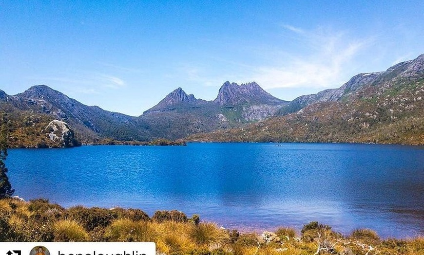 Image 7: Cradle Mountain Day Tour: Dove Lake Guided Hike with Lunch
