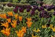 Central Park Sightseeing Guided Hike - Second Medium