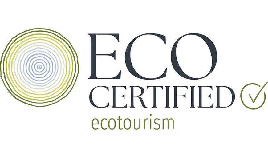 Image 2: Natural Bridge Glow Worm Night Tour from Gold Coast