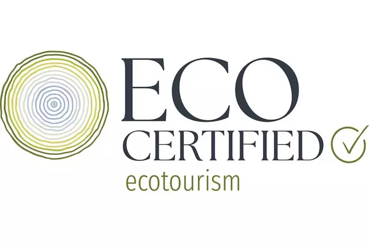 Natural Bridge Glow Worm Night Tour from Gold Coast