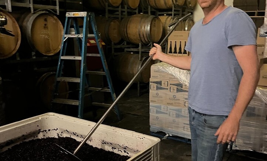 Image 6: Private Wine Tasting Experience