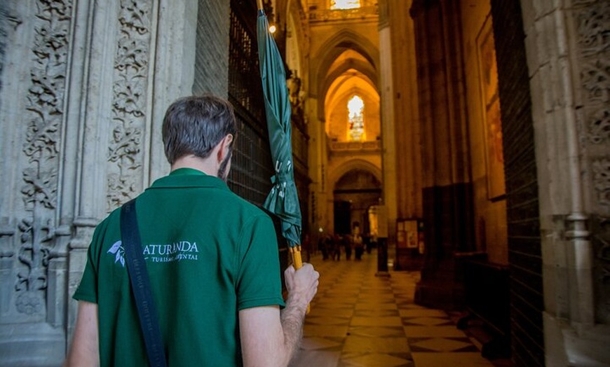 Image 9: Tour en grupo pequeño por Sevilla: Alcázar, Catedral y Giralda