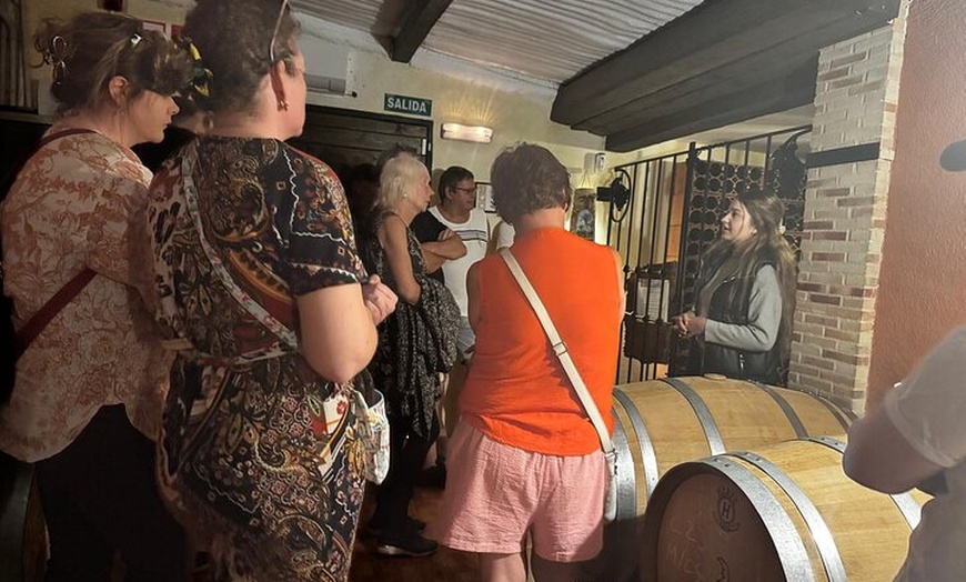 Image 18: Alicante; Recorrido Vinícola Bodega Cata Vinos, Comida y Traslado