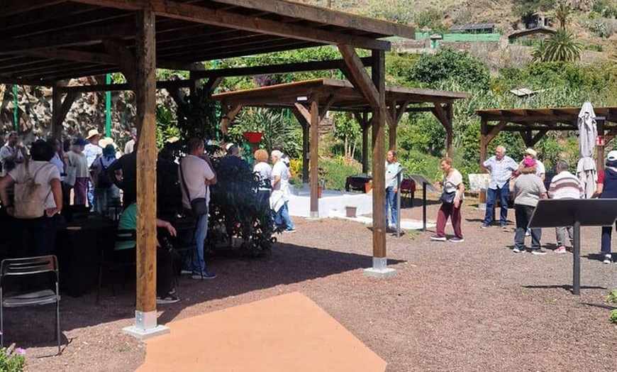 Image 2: Explora el Café de Gran Canaria en Finca Los Castaños