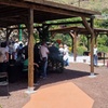 Image 2: Explora el Café de Gran Canaria en Finca Los Castaños
