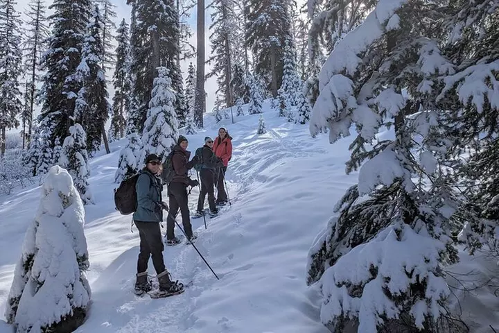 Leisurely Snowshoeing through the Bitterroot Mountains
