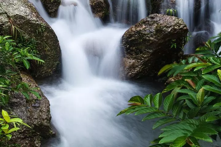 Waterfall, 1st Road to Hana, Chocolate Tour, Historical, Jungle