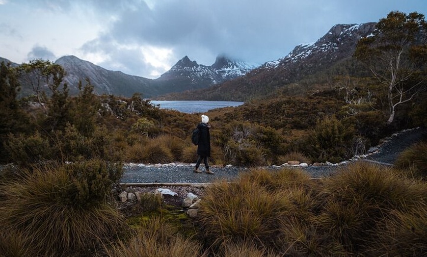 Image 5: Cradle Mountain Half Day Park Explorer Tour with Lunch