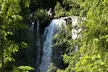 Eugene area Waterfalls & the McKenzie River in a Tesla - Second Medium