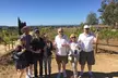 Shared Temecula Wine Tour from in the Valley (near the wineries) - Second Medium