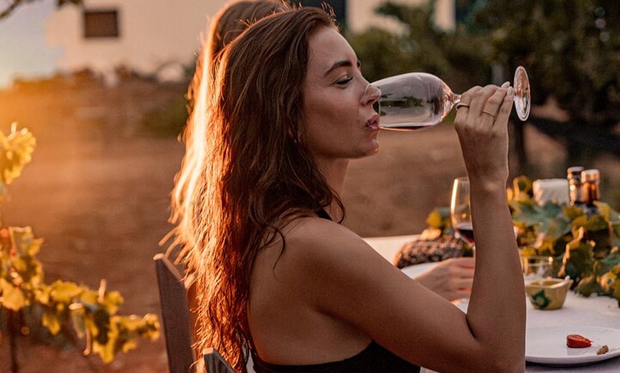 Image 20: Ibiza : Cata privada de vinos y aceites de oliva y Tapas y transporte