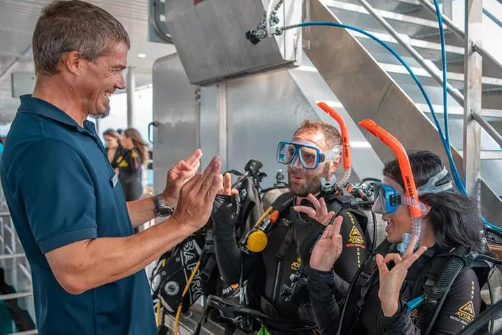 Snorkel & Dive the Reef: Sustainable, Scientific & Cultural Tour