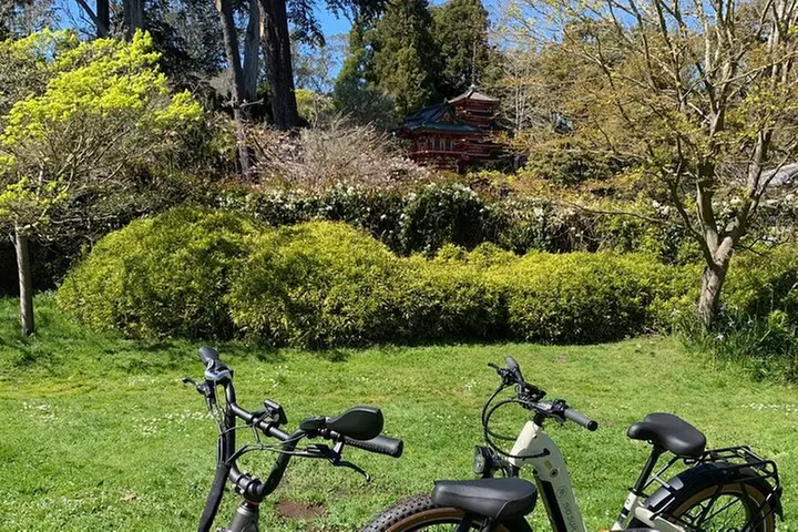 Summer of Love San Francisco Guided eBike Tour Golden Gate Park