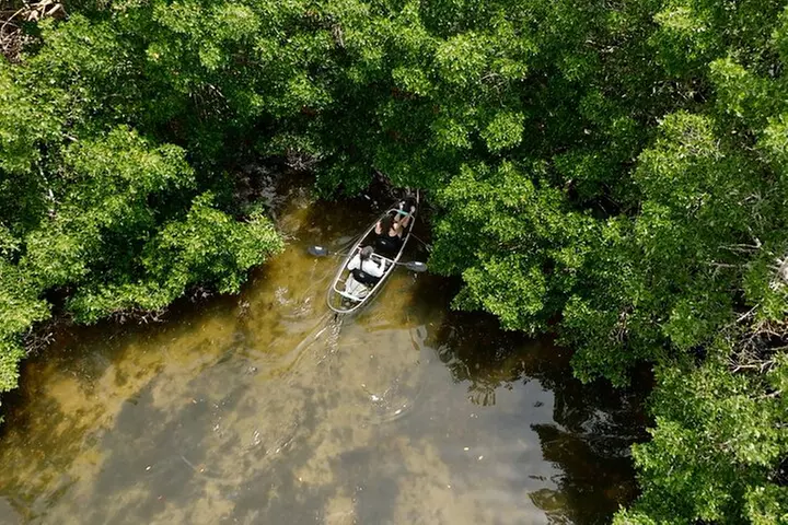 Clear Kayak Ecotour at Robinson Preserve in Bradenton, Florida