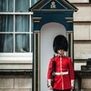 Image 39: Discover London in Style with Your Private Blue Badge Tour Guide