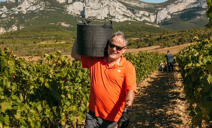 Image 40: Clase magistral de acceso y degustación exclusiva de bodegas secret...