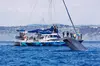 Dana Point Dolphin and Whale Watching with Underwater Viewing