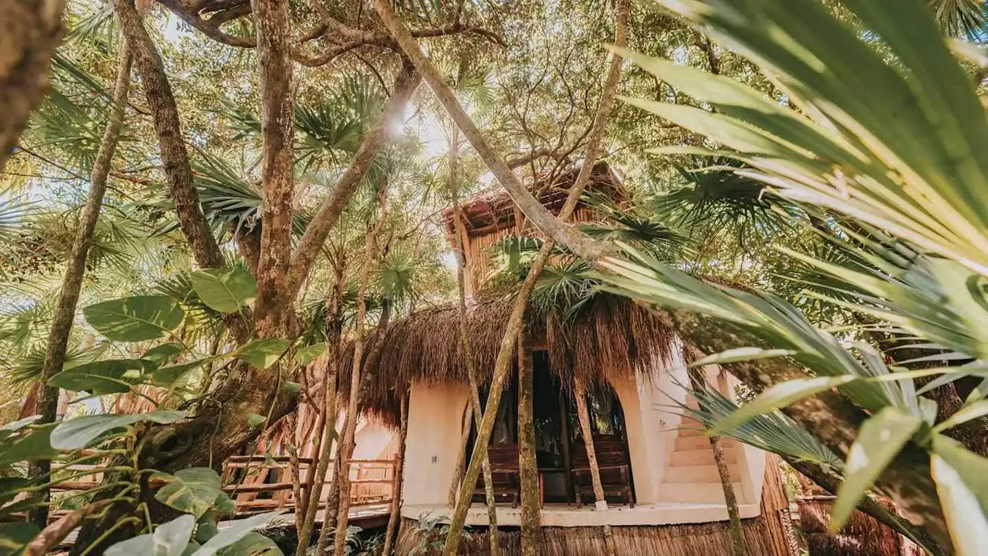 ✈ MEXICO | Tulum - Papaya Playa Project 5*, 5 nights - Seafront