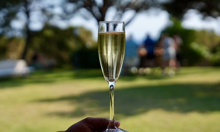 Image 2: Cata de vinos con vistas al mar Mediterráneo