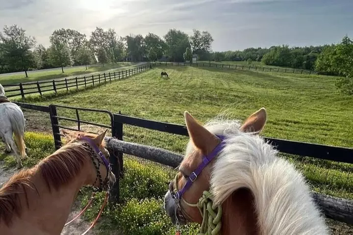 B&C horseback riding in nature and Keeneland racetrack.