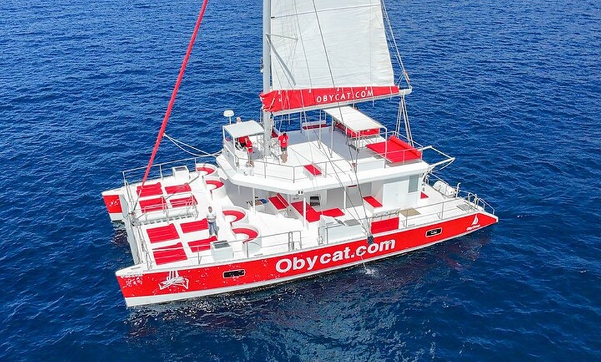 Image 4: Viaje de 4 horas en lujoso catamarán desde Puerto Rico