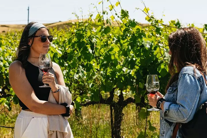 Napa and Sonoma Wine Country Full-Day Tour from San Francisco