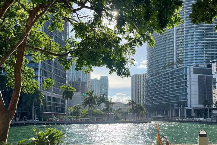 Miami Magic City: The Ultimate One-Day Insider Tour