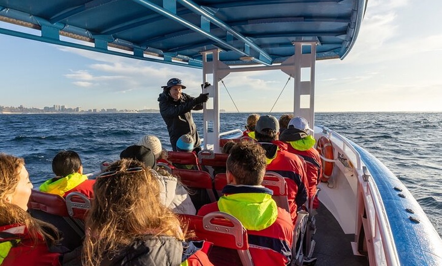 Image 24: Humpback Whale Encounter Tour from Newcastle
