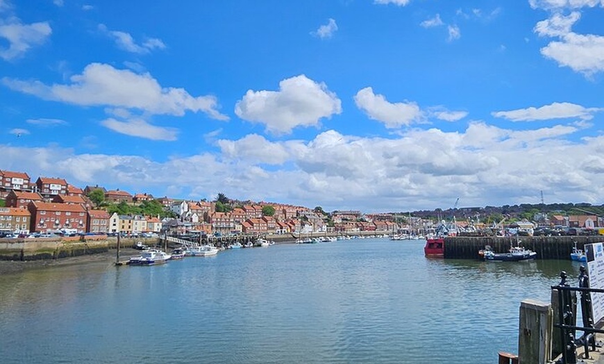Image 7: North York Moor day trip incl Whitby, Staithes & Robin Hoods Bay