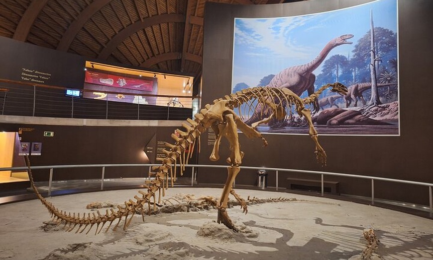 Image 2: Tour por el Museo Jurásico de Asturias desde Oviedo