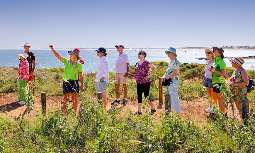 Image 3: Panoramic Sightseeing Bus Tour - Discover Broome!