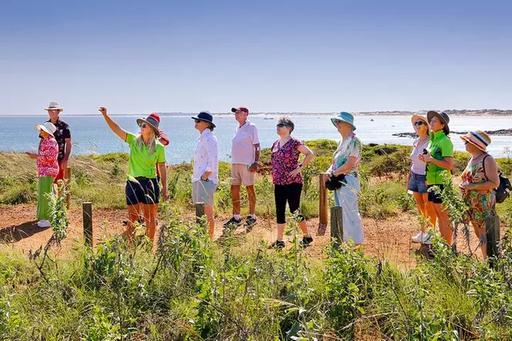 Panoramic Sightseeing Bus Tour - Discover Broome!