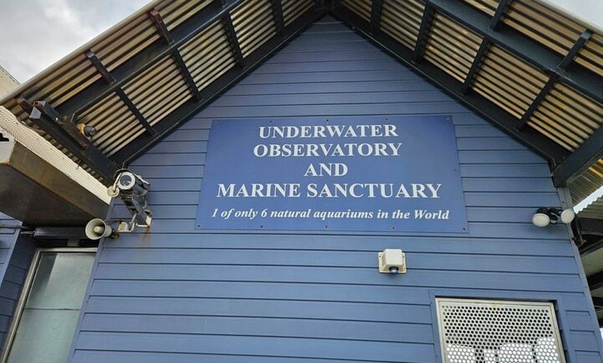 Image 13: 2 Day Tour Busselton Jetty, Ngilgi Cave to Valley of the Giants