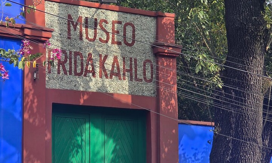 Image 6: Mexico City : Frida Kahlo, Xochimilco & Coyoacán Tour