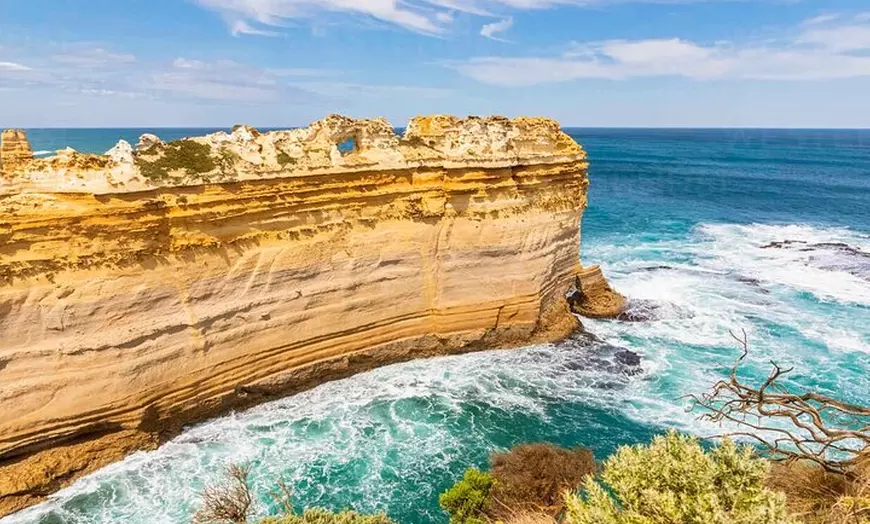 Image 4: Great Ocean Road Private Tour In Luxury Vehicle.Customised Option