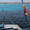 Image 29: Excursión de un día a Illetas en Formentera con Paella y Bebida
