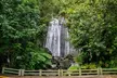 El Yunque Rainforest and Luquillo Beach and Kiosk Private Tour - Second Medium