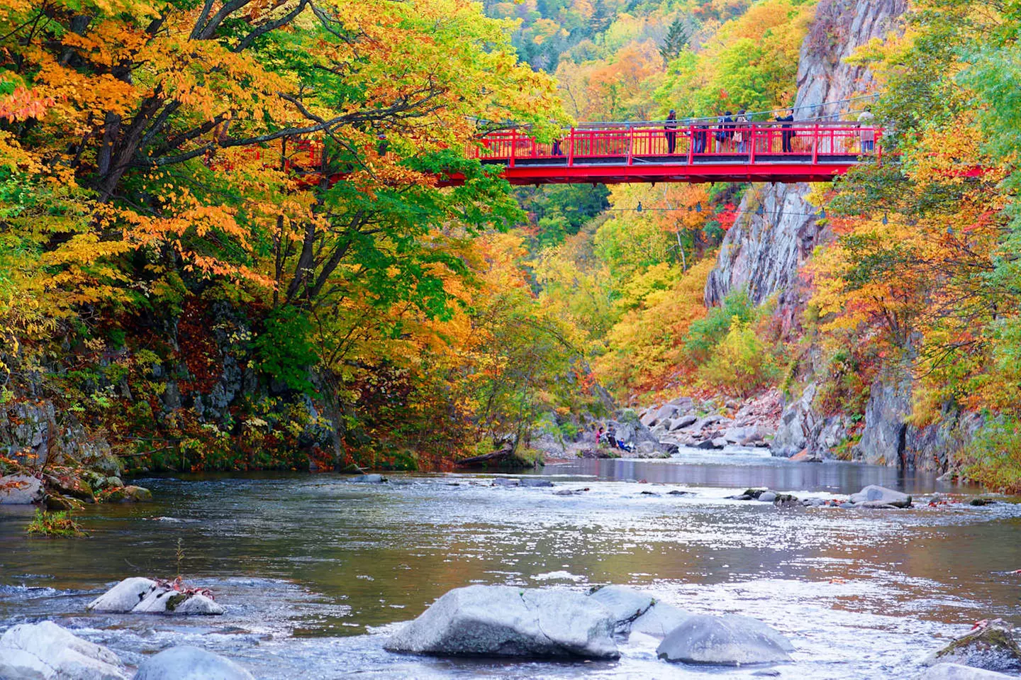 ✈ GIAPPONE | Da Sapporo a Tokyo - Alla scoperta di Hokkaido 3*, 13 ...