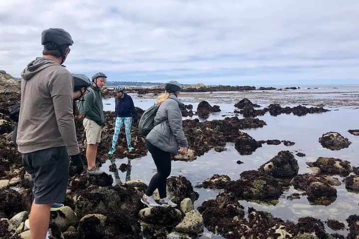 Full Day, Monterey Peninsula, 17 Mile Dr and Carmel eBike Rental