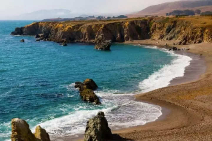 Small Group Redwoods, California Coast & Sausalito Day Trip from Sa...