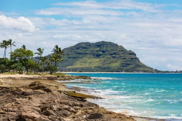 Oahu Private Tour with Mercedes Sprinter & New Luxury Vehicles