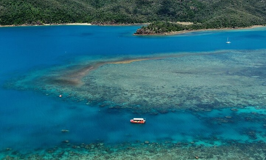 Image 15: East Coast Australia 16 Day Comfort Tour from Sydney to Daintree