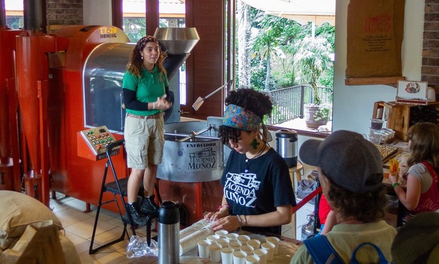 Image 4: Puerto Rico Coffee Plantation & Waterfall River Tour