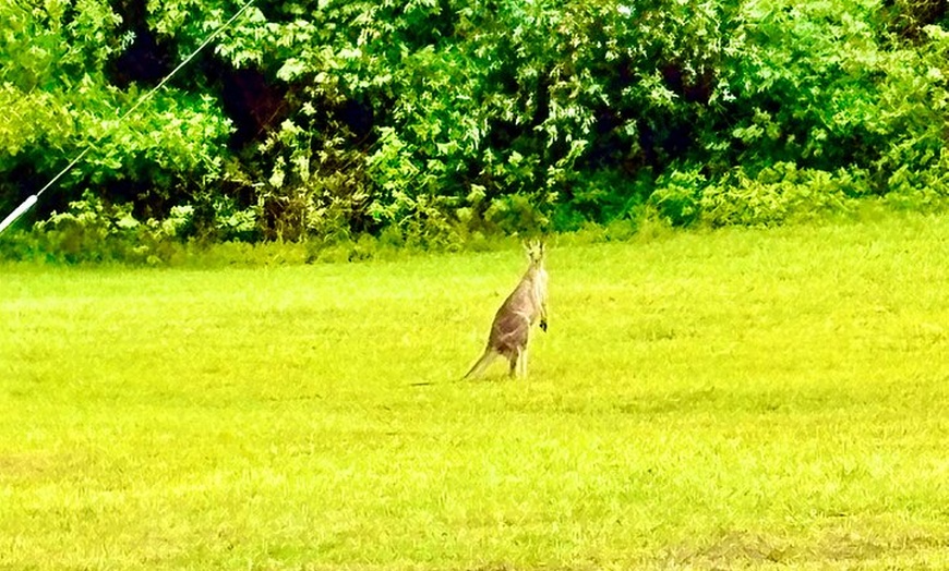 Image 7: Blue Mountains Day Tours W Scenic World and Lunch
